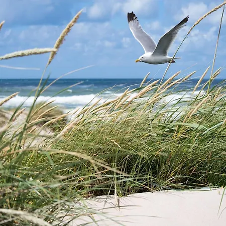 Nyaraló In Duinbergen With Sea Views