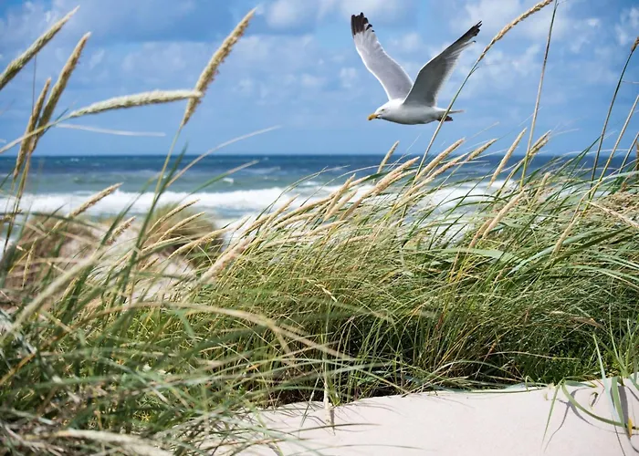 Tatil Evi In Duinbergen With Sea Views